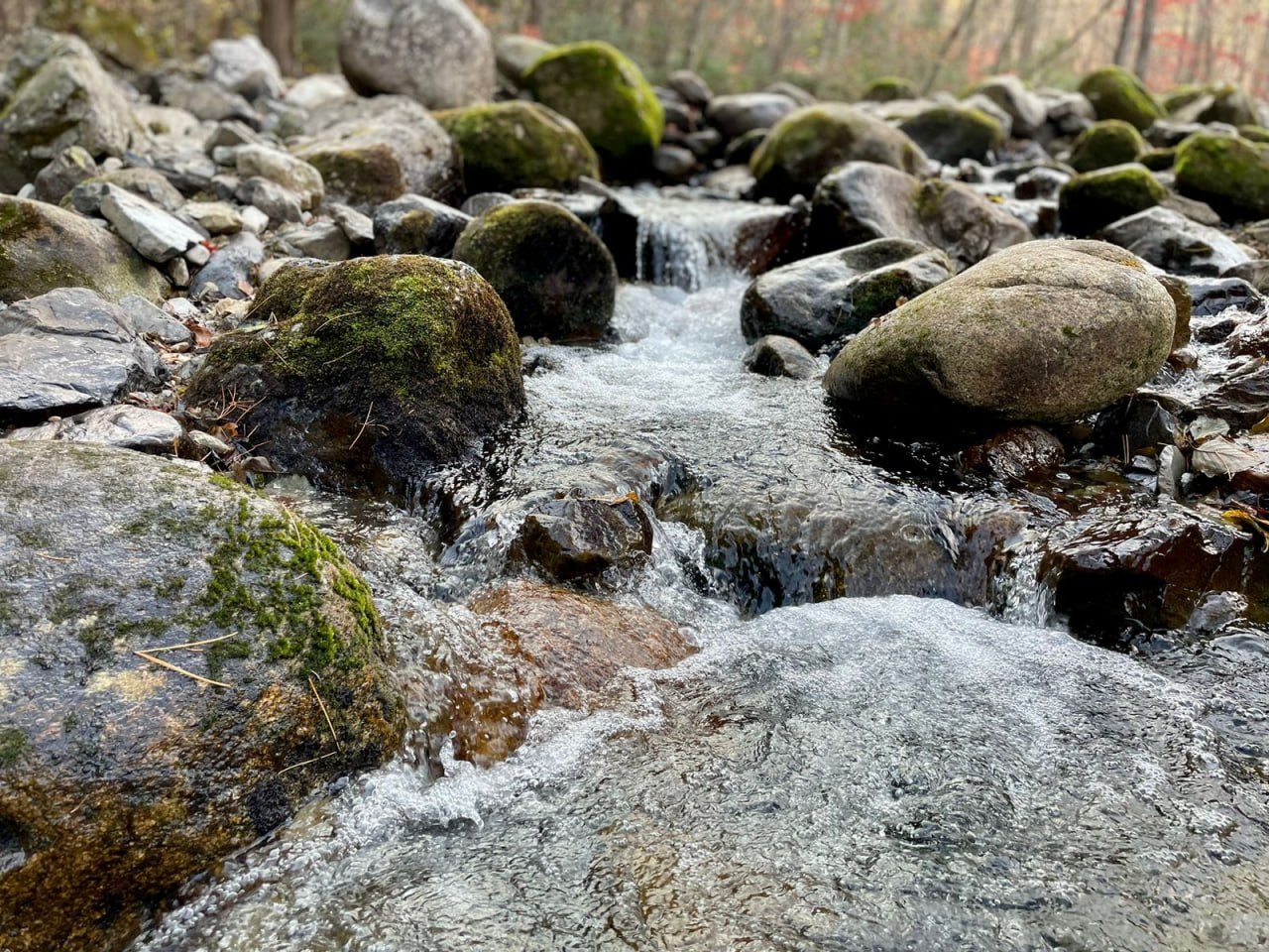 Каскад Смольных водопадов в таежном ущелье